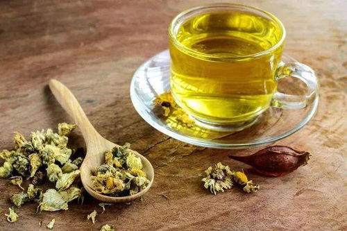 菊花茶品种繁多，你知道常见的菊花茶种类有哪些吗