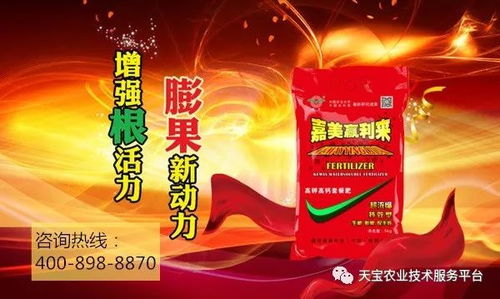 除草剂使用不当， 小心药害