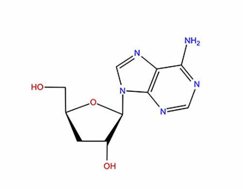 虫草素：肺部纤维化的守护神