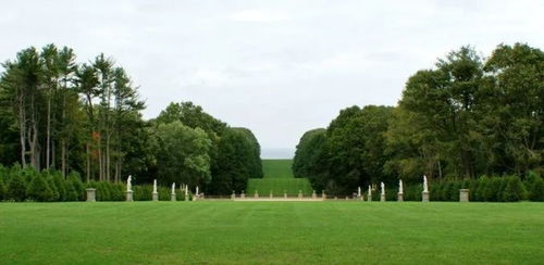 园林树木配置，你真的懂吗？