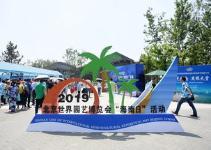 亚洲数字艺术展，数字魅力！