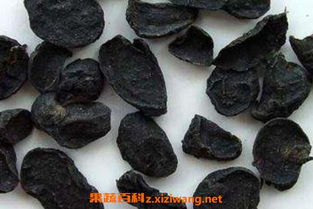 川乌和草乌在制法上有哪些不同？请提供川乌与制草乌的区别图片及详细说明。