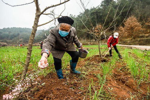 下雨天喷施农药