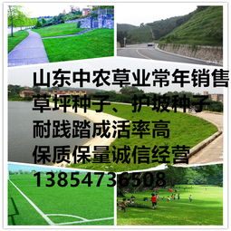 高速公路绿化植物的选择