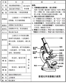 三、 皮肤、某些实验器皿等