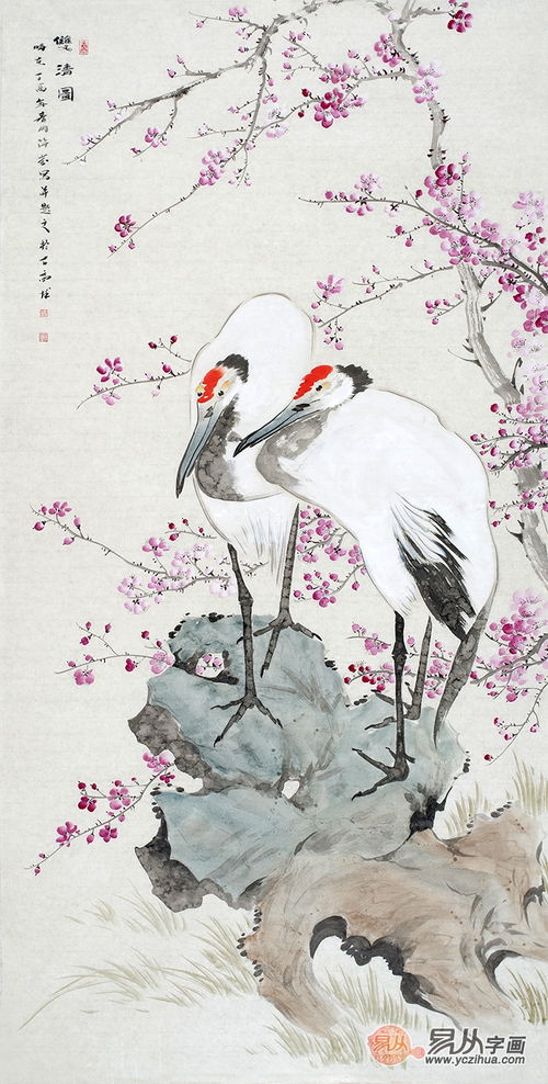 仙鹤来花期已过如何让仙鹤再展翅