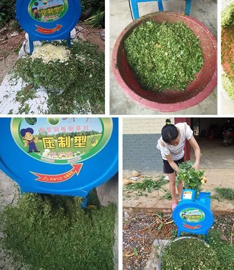 百草枯，除草神器的两面性