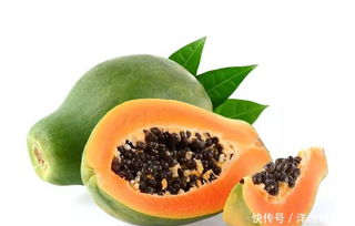 木瓜维生素C含量高不高？