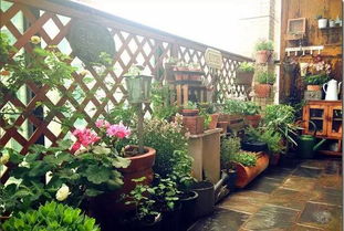 花拱门：自然的艺术品，家的浪漫象征