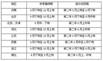 种植小贴士：种子特性决定播种奥秘