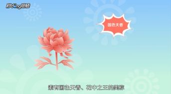 桃花的花语是爱情与繁荣，那么它是否真的能带来美好的爱情和繁荣的未来呢