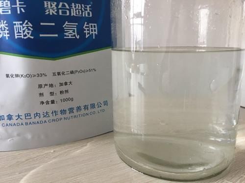 揭秘：为何花卉不宜使用磷酸二氢钾？