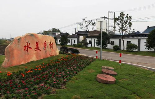 中山杉， 盐城特产