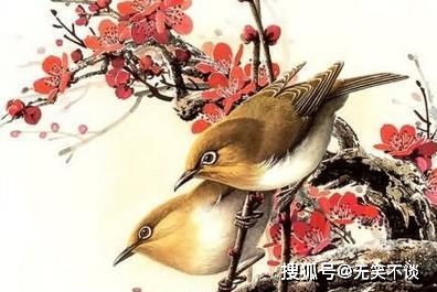 特价株别贪，金钱鸟不便宜