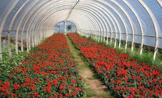 施肥标准，得科学点