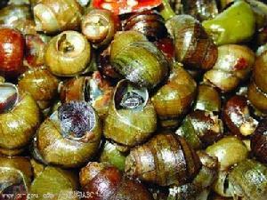 农药与田螺的亲密接触