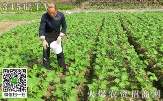 如何省280元避免种植失败？