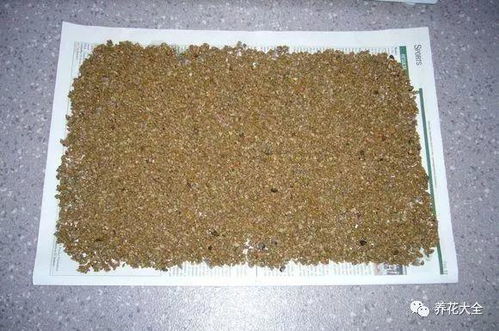 注意事项， 避免误区