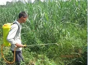 二、 快哥除草剂