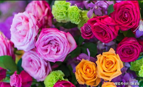 再说说一次清园， 为春天Zuo准备