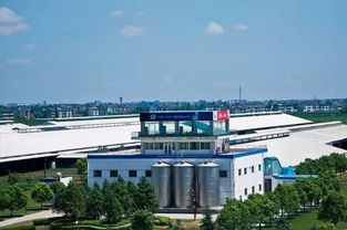 海阳尚生饲料有限公司和沂南民乐饲料有限公司哪家饲料更适合养殖场使用？