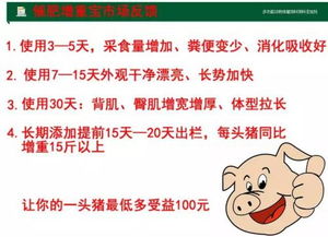 龙岩市金融猪价走势分析预测，今日猪价涨跌一览表具体如何？
