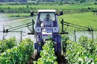 补助政策每年dou有变动