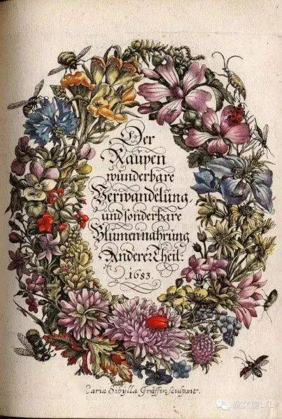 科学的绘画过程就是要进行细致的观察,同过显微镜观察植物的形态,结合构图、 素描、色彩、写生等艺术性,才可绘制出形象的植物。