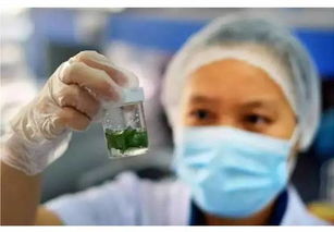 农药的潜在危害