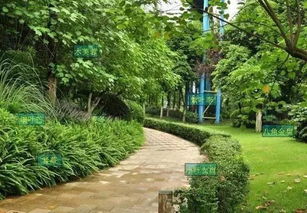 利用灯光， 打造如梦如幻的景观