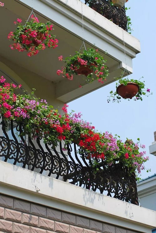 浇水：千万别浇错了