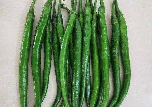 线椒种植间距30cm，那么行距应该是多少厘米