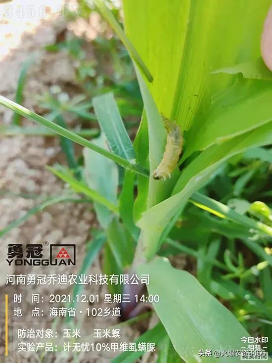 一、 甲维虱螨脲在农业中的应用与选择