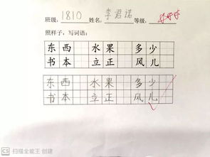 如何科学掌握浇水？