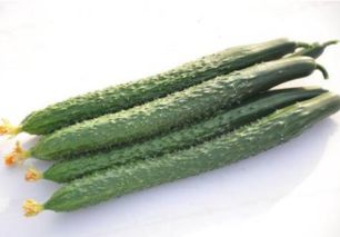 黄瓜开花不后来啊怎么办