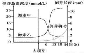 稀释比例，这可是关键！