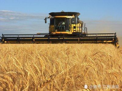 转基因种子， 发芽没问题