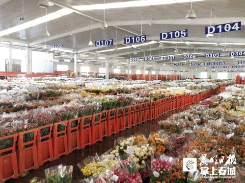 振兴花卉市场，乘坐地铁如何快速抵达