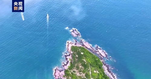 丹麦北海鳕鱼数量创历史新高，引发渔业资源保护关注