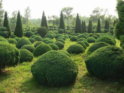 这些坑千万别踩