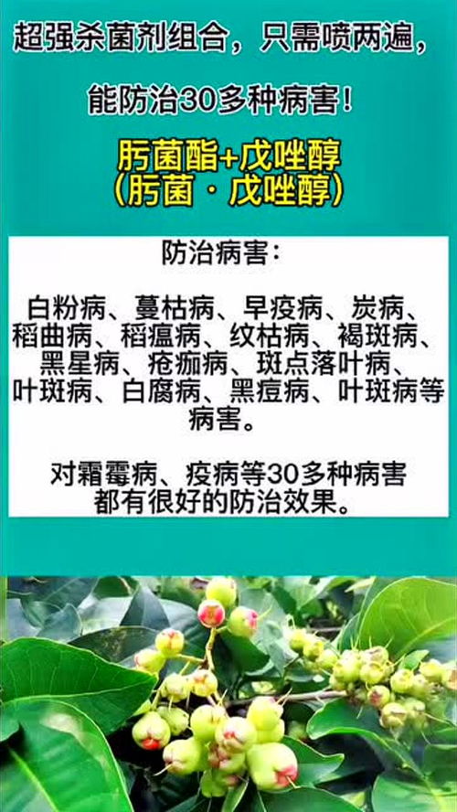 肟菌戊唑醇Ke以防治哪些病害？