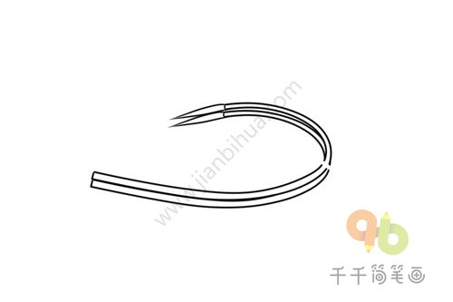 画小蒜苗的乐趣