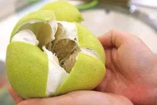 柚子籽油的价值