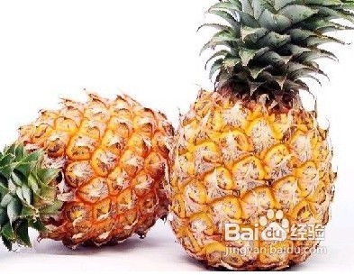 揭秘铁树种子的医疗与食用奥秘：健康益处大公开！