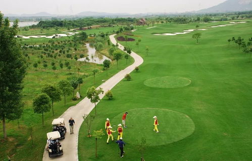 果岭草三大生死线