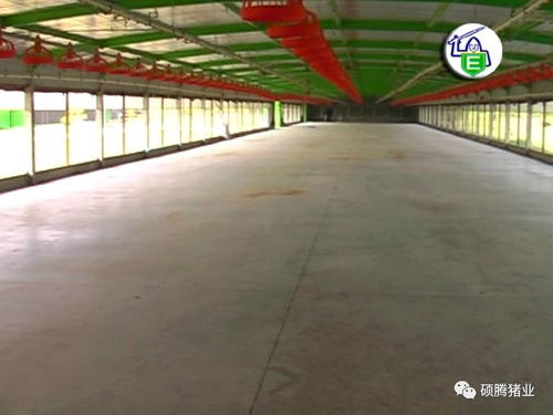 国外猪场生物安全技术，你的猪场能借鉴多少