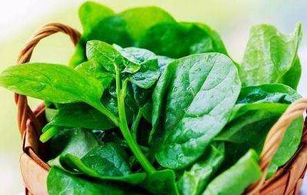 窝瓜种植的最佳时间和方法是什么？如何长期保存窝瓜