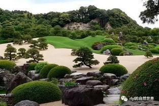 不同点，就像俩人性格