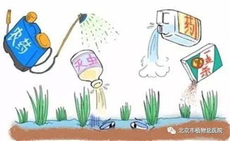 钙肥：小心混用的“雷区”