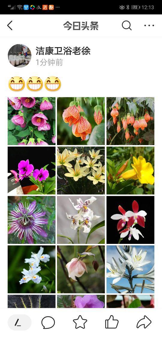 板栗园不让打除草剂，保护生态平衡